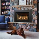 kozy heat propane fireplace insert
